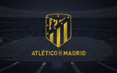 中欧电竞焦点-什琴斯尼扑救集锦登上央视