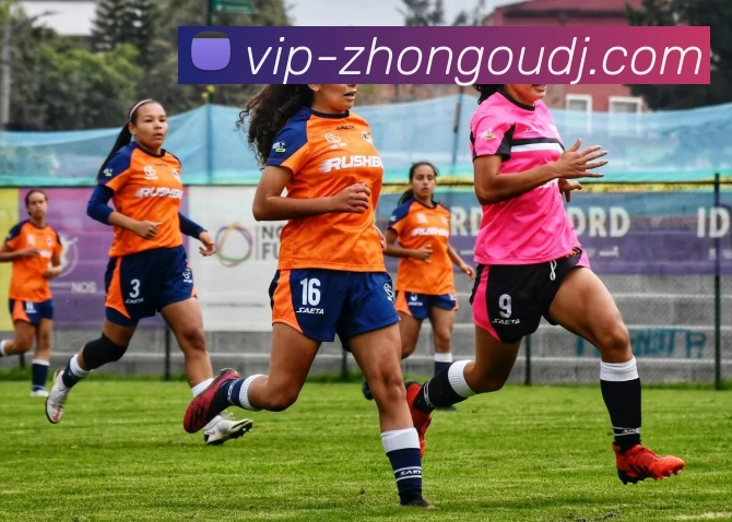 App Interface Preview